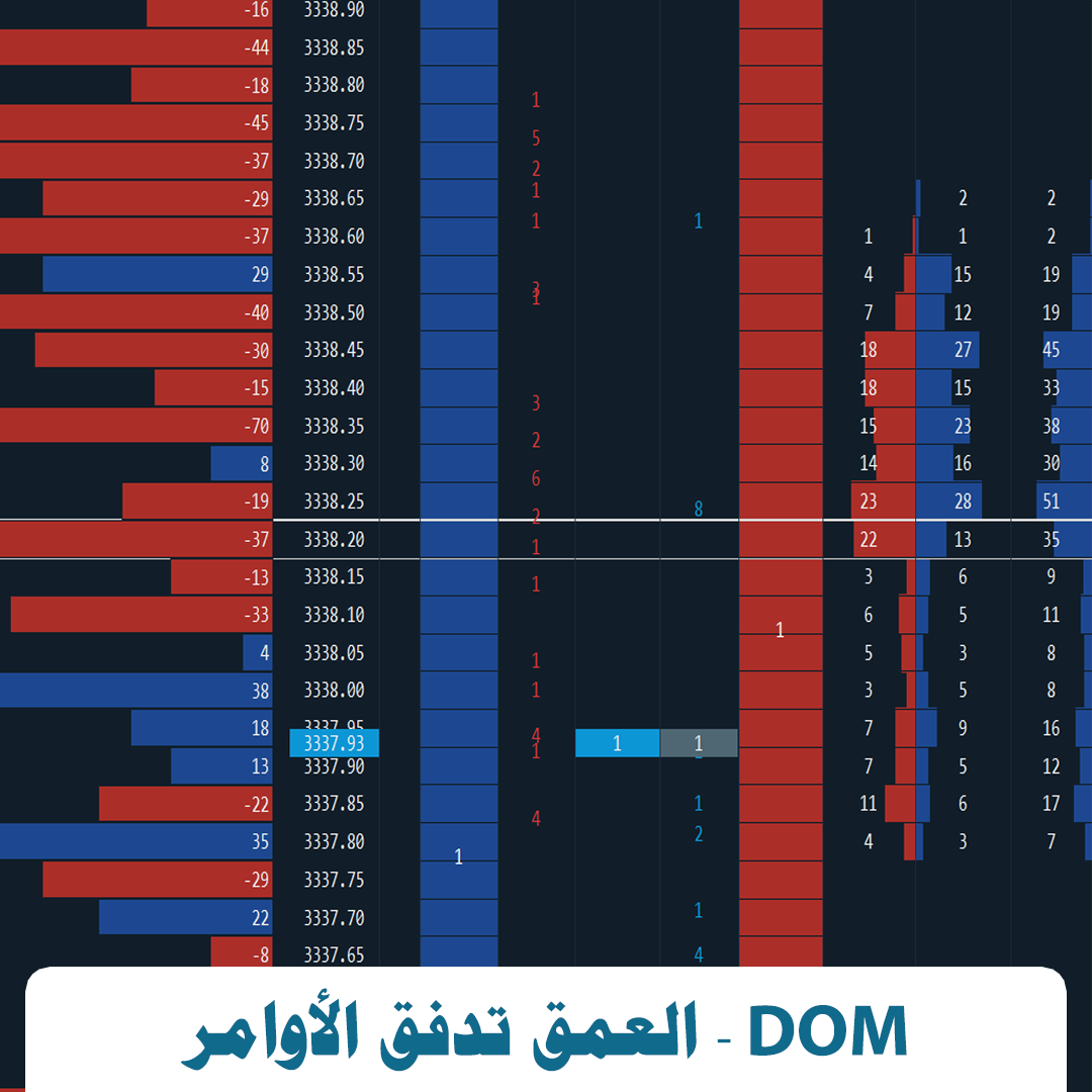أقوى مخطط احترافي لمتداولي Sierra Chart – كل ما تحتاجه ! - الصورة 2