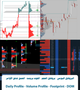 Daily Profile - Volume Profile - Footprint Sierra Chart